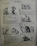 Kasperl Theatre. Illustrated Kasperl story sheet - Braun and Schnider 19th Century Germany Print 